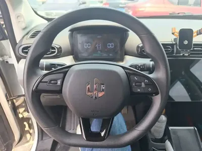Leapmotor Leapmotor T03