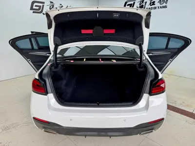 BMW 5 Series (Import)