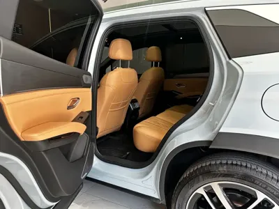 BYD L DM-i