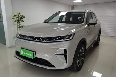 Haval Fierce Dragon Max
