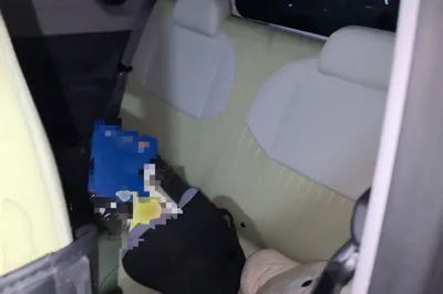 Geely Galaxy Panda