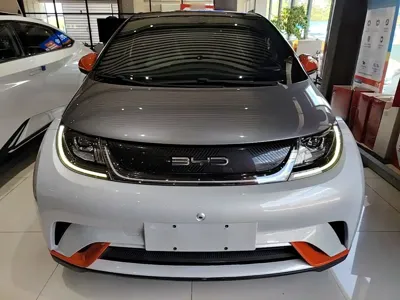 BYD Dolphin