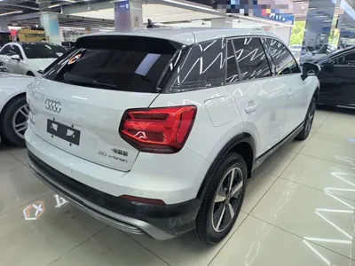Audi Q2L e-tron