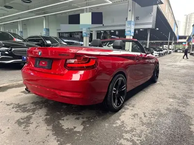 BMW 2 Series (Import)