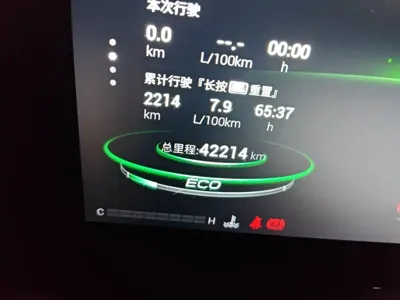 GAC Motor Shadow Leopard