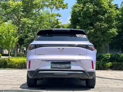 Wuling 缤果S
