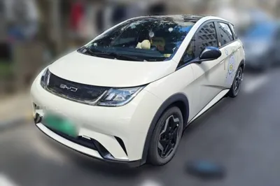 BYD Dolphin