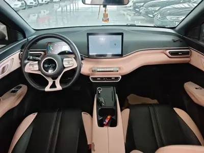 BYD Seagull