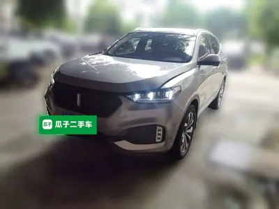 WEY Wey VV6