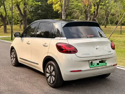 Wuling Bingo