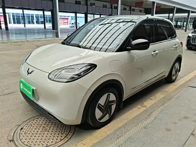 Wuling Bingo