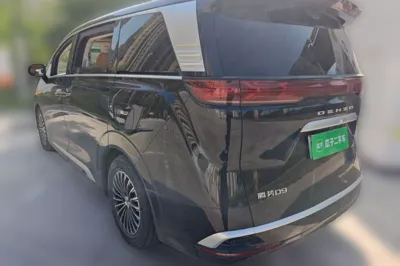 Denza D9