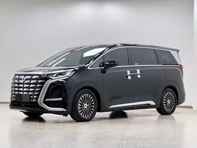 Denza Denza D9