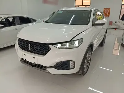 WEY Wey VV6