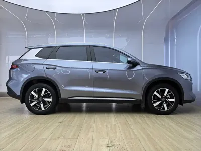 BYD Pro New Energy