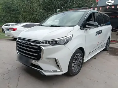 Maxus G20