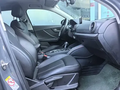 Audi Q2L e-tron