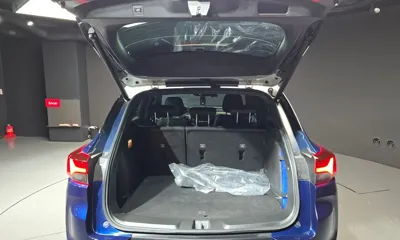 ChevroletGMDaewoo Trailblazer