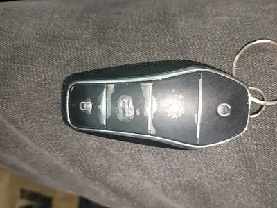 BYD L DM-i