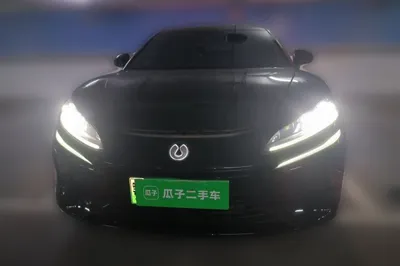 Denza Z9