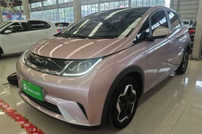 BYD Dolphin