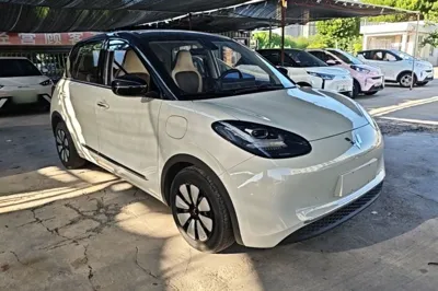 Wuling Bingo