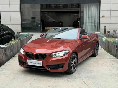 BMW 2 Series (Import)