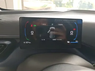BYD Seagull