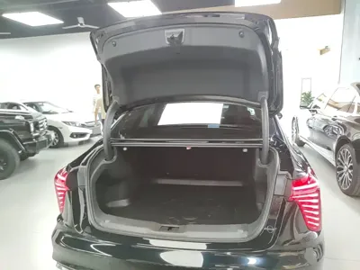 Hongqi Hongqi H5