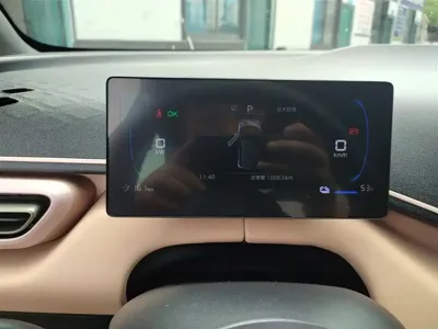 BYD Seagull