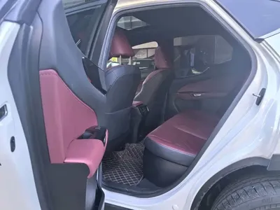 Lexus NX New Energy