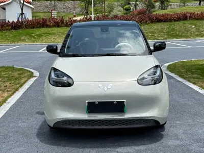 Wuling Bingo