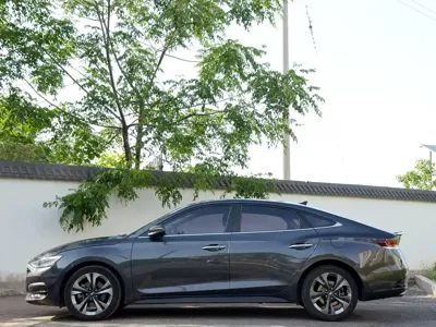 Hyundai Fista