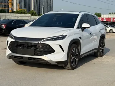 BYD L DM-i