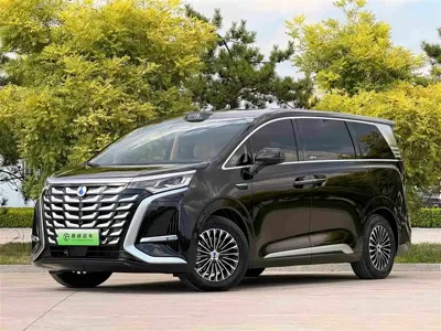 Denza Denza D9