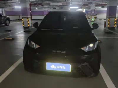 BYD Seagull