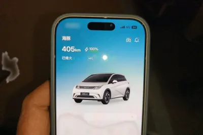 BYD Dolphin