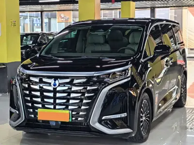 Denza Denza D9