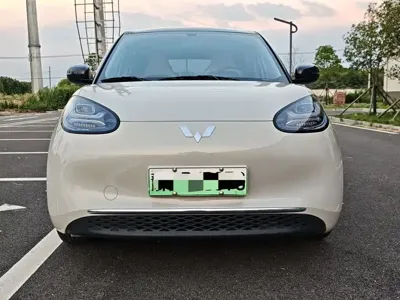 Wuling Bingo