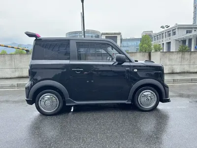 Galaxy Panda