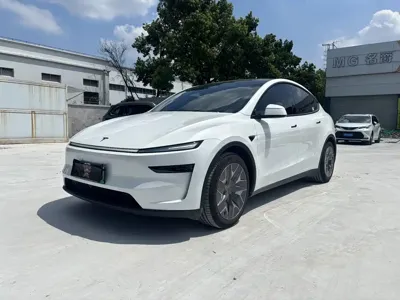 Tesla Model Y L