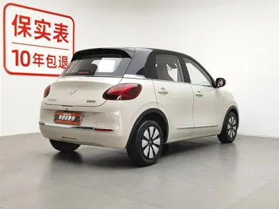 Wuling Bingo