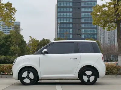 Changan Lumin