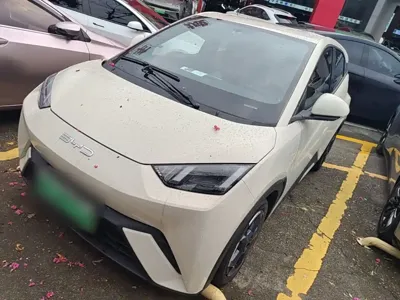 BYD Seagull