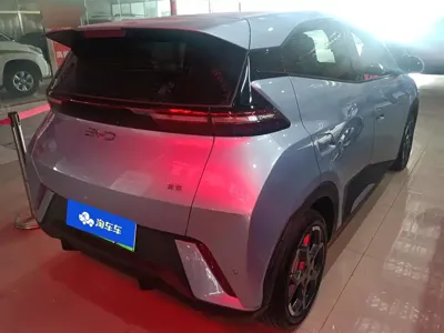 BYD Seagull