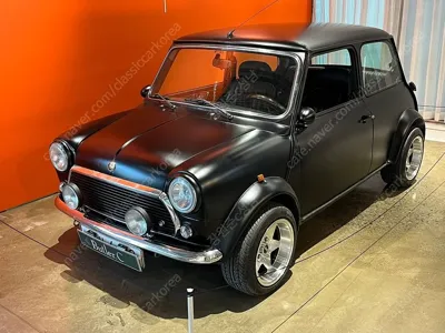 MINI Rover Mini