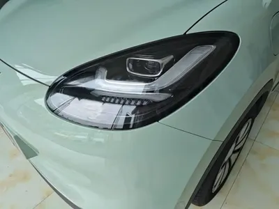 Wuling Bingo