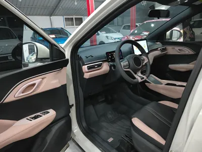 BYD Seagull