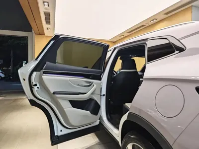 BYD PLUS New Energy