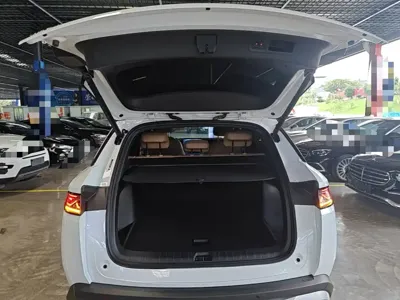 BYD L DM-i